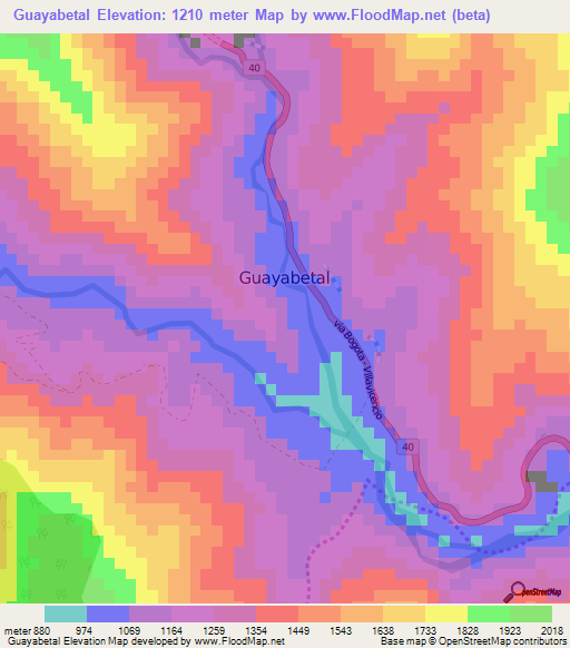 Guayabetal,Colombia Elevation Map