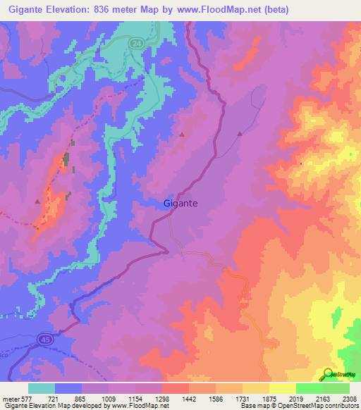 Gigante,Colombia Elevation Map