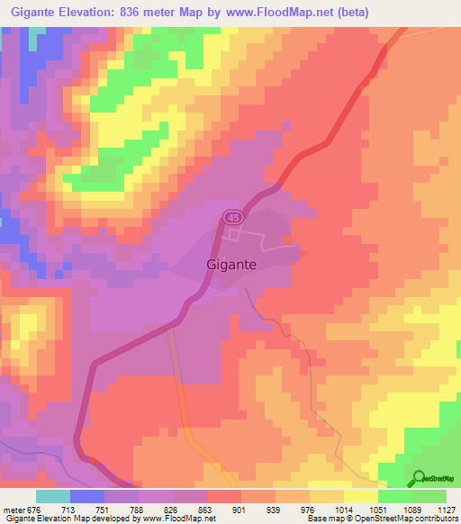 Gigante,Colombia Elevation Map