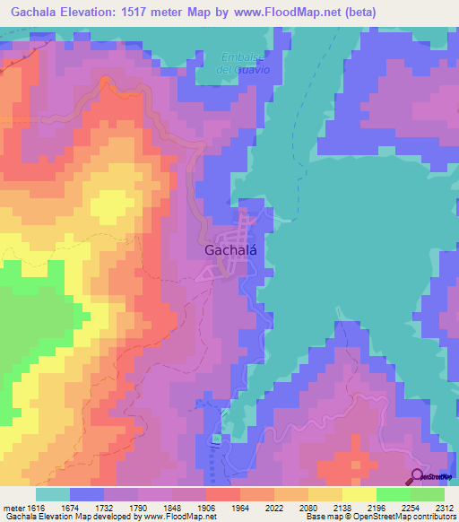 Gachala,Colombia Elevation Map