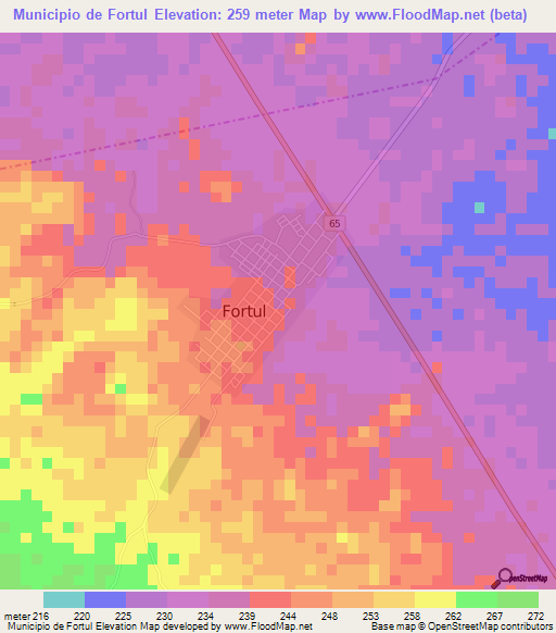 Municipio de Fortul,Colombia Elevation Map