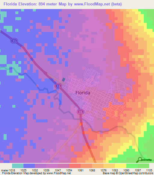 Florida,Colombia Elevation Map