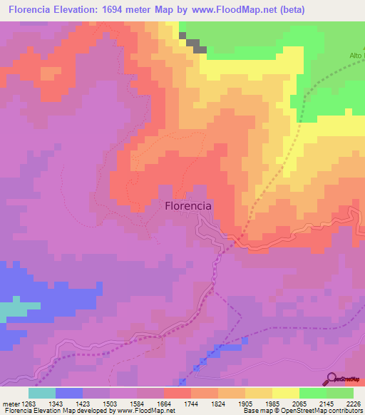 Florencia,Colombia Elevation Map