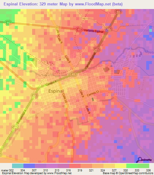 Espinal,Colombia Elevation Map