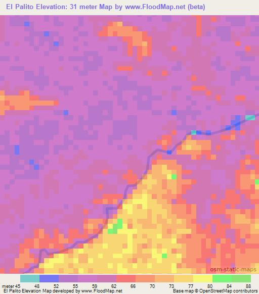 El Palito,Colombia Elevation Map