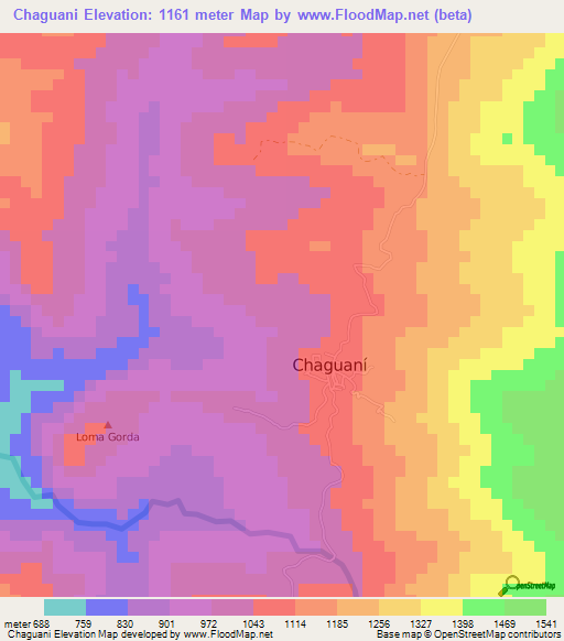 Chaguani,Colombia Elevation Map