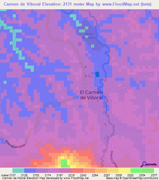 Carmen de Viboral,Colombia Elevation Map