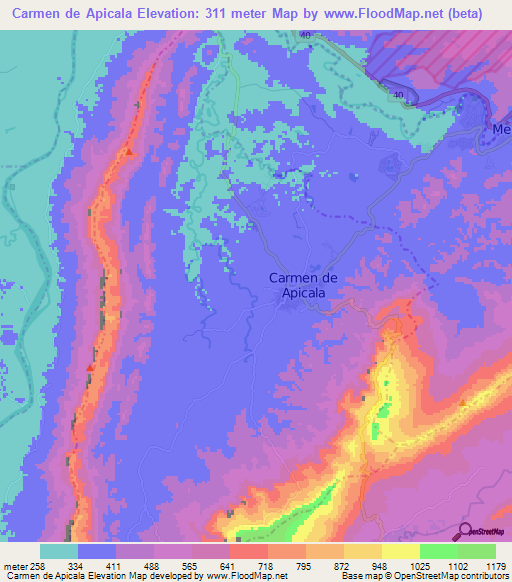 Carmen de Apicala,Colombia Elevation Map