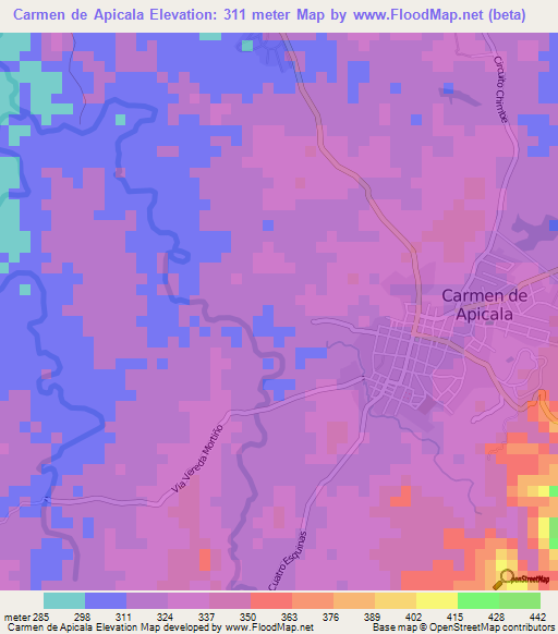 Carmen de Apicala,Colombia Elevation Map