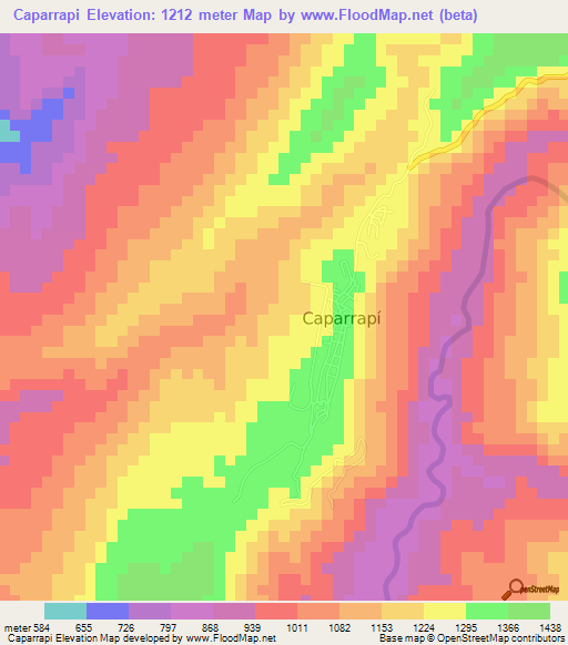 Caparrapi,Colombia Elevation Map