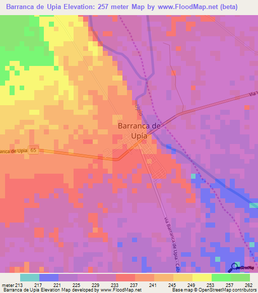 Barranca de Upia,Colombia Elevation Map