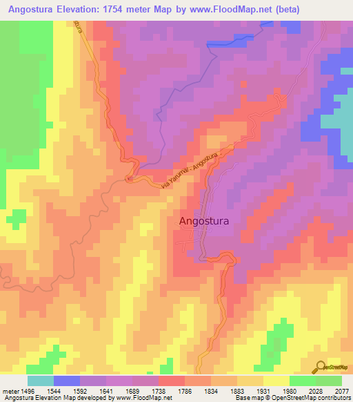 Angostura,Colombia Elevation Map