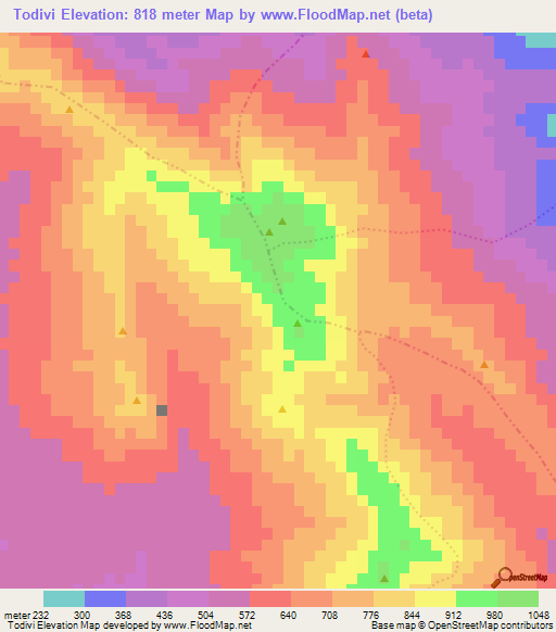 Todivi,Haiti Elevation Map