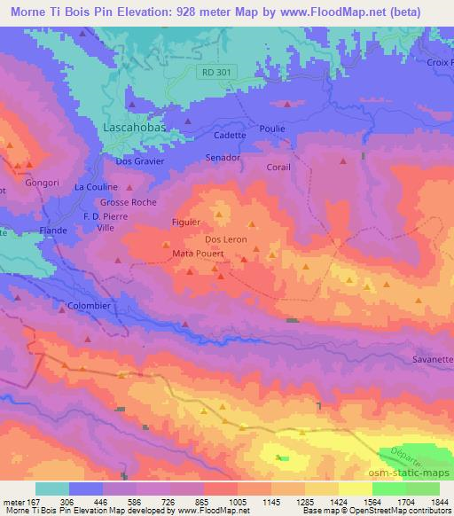 Morne Ti Bois Pin,Haiti Elevation Map