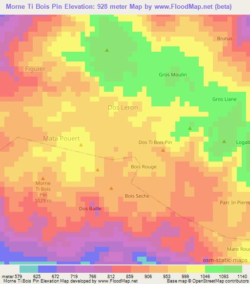 Morne Ti Bois Pin,Haiti Elevation Map