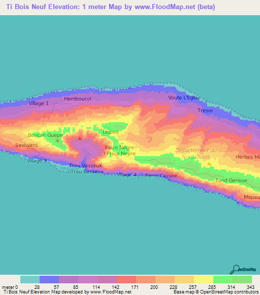 Ti Bois Neuf,Haiti Elevation Map