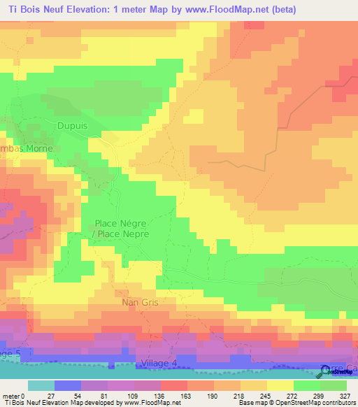 Ti Bois Neuf,Haiti Elevation Map