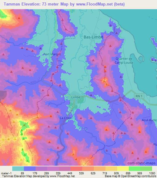 Tammas,Haiti Elevation Map