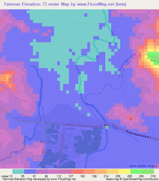 Tammas,Haiti Elevation Map