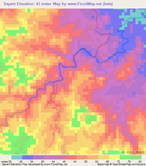 Sayant,Haiti Elevation Map