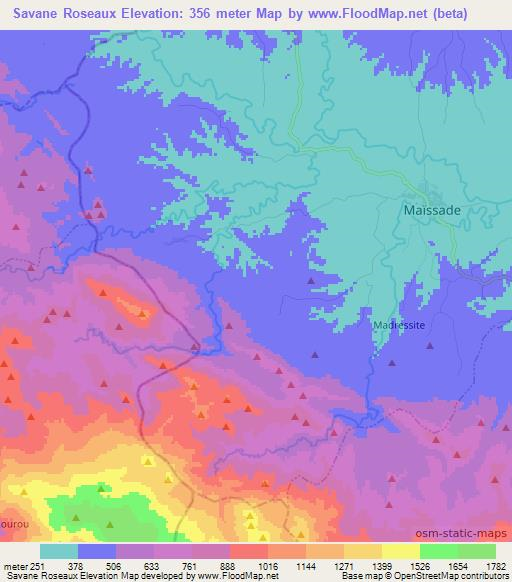 Savane Roseaux,Haiti Elevation Map