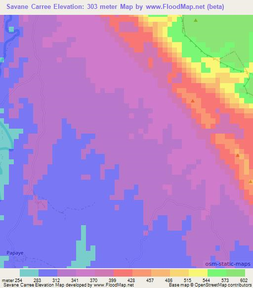 Savane Carree,Haiti Elevation Map