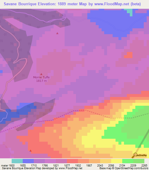 Savane Bourrique,Haiti Elevation Map