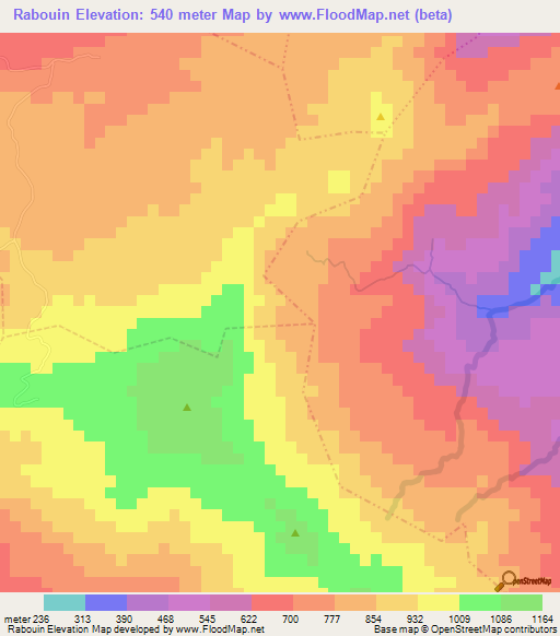 Rabouin,Haiti Elevation Map