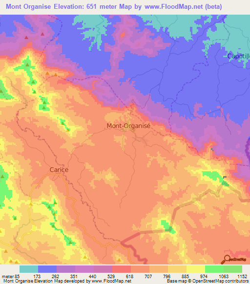 Mont Organise,Haiti Elevation Map