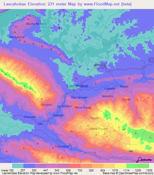 Lascahobas,Haiti Elevation Map