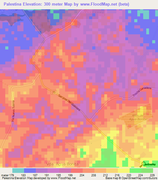 Palestina,Colombia Elevation Map