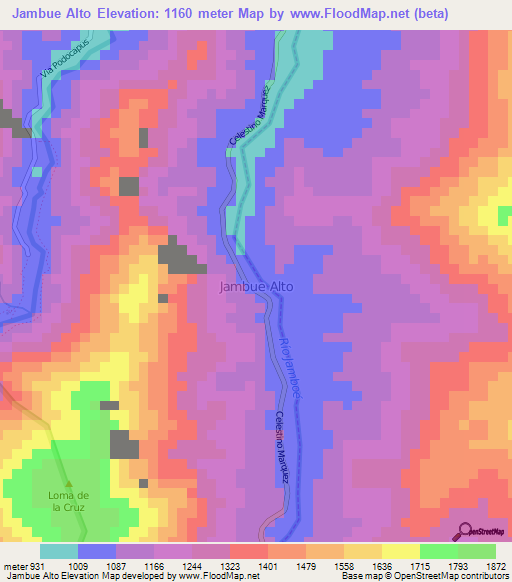 Jambue Alto,Ecuador Elevation Map