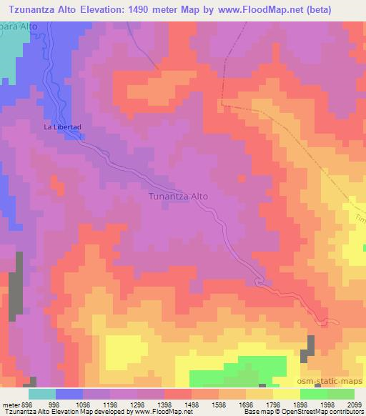 Tzunantza Alto,Ecuador Elevation Map