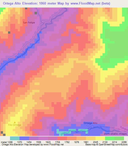 Ortega Alto,Ecuador Elevation Map