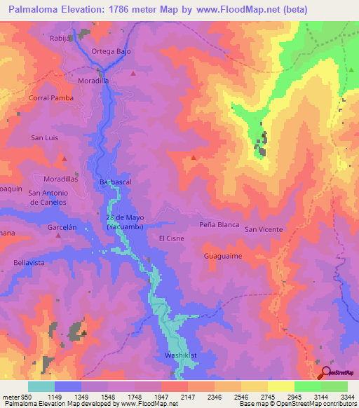 Palmaloma,Ecuador Elevation Map