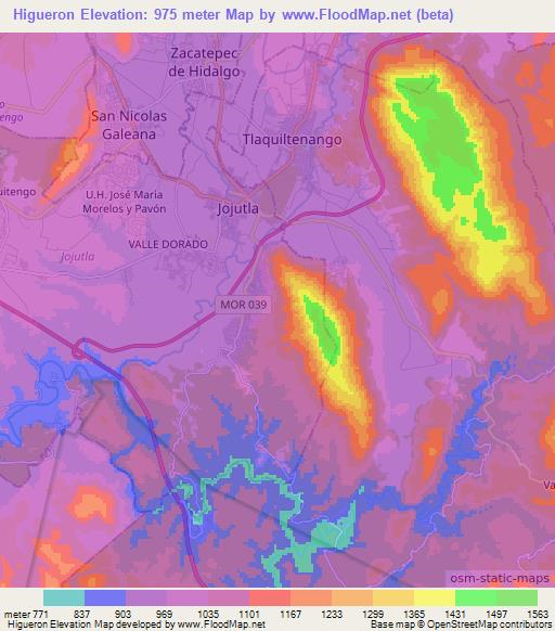 Higueron,Mexico Elevation Map