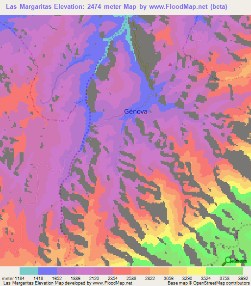 Las Margaritas,Colombia Elevation Map