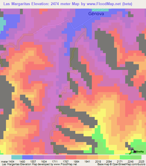 Las Margaritas,Colombia Elevation Map