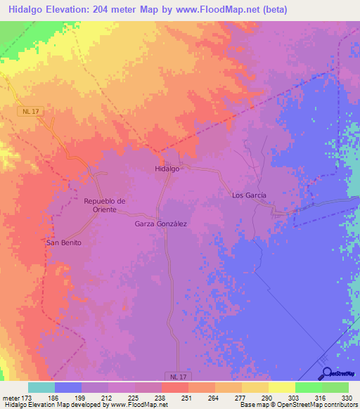 Hidalgo,Mexico Elevation Map