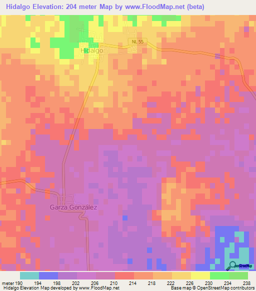 Hidalgo,Mexico Elevation Map