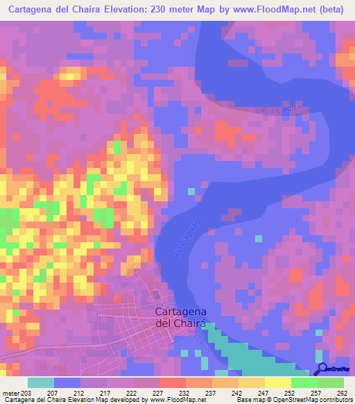 Cartagena del Chaira,Colombia Elevation Map