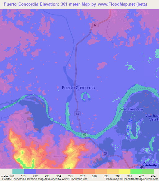 Puerto Concordia,Colombia Elevation Map