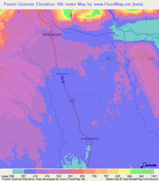 Puerto Guzman,Colombia Elevation Map