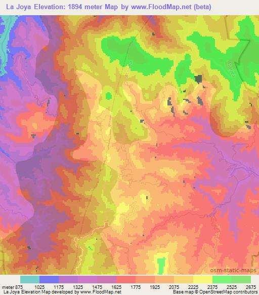 La Joya,Mexico Elevation Map