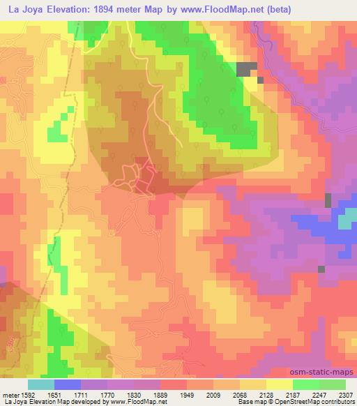 La Joya,Mexico Elevation Map