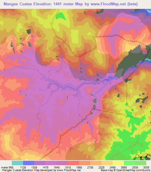 Mangas Cuatas,Mexico Elevation Map