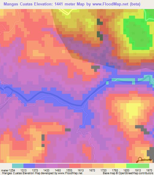 Mangas Cuatas,Mexico Elevation Map