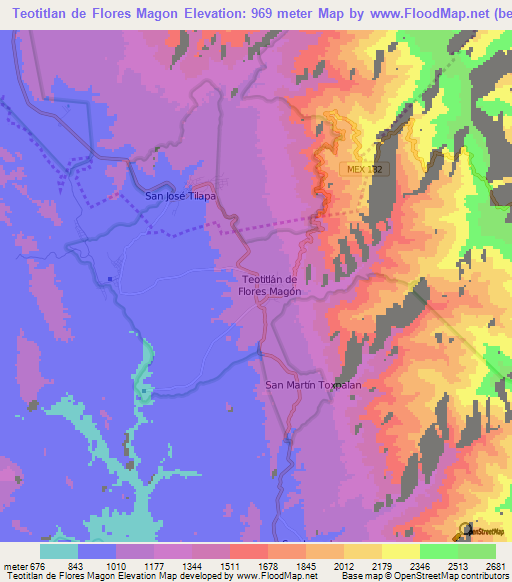 Teotitlan de Flores Magon,Mexico Elevation Map