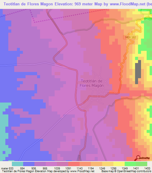 Teotitlan de Flores Magon,Mexico Elevation Map