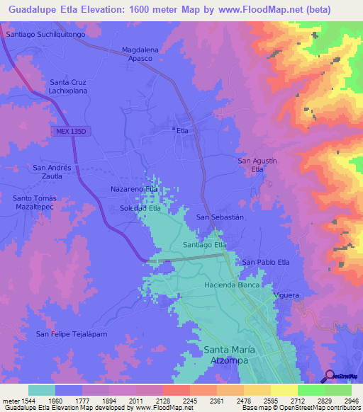 Guadalupe Etla,Mexico Elevation Map